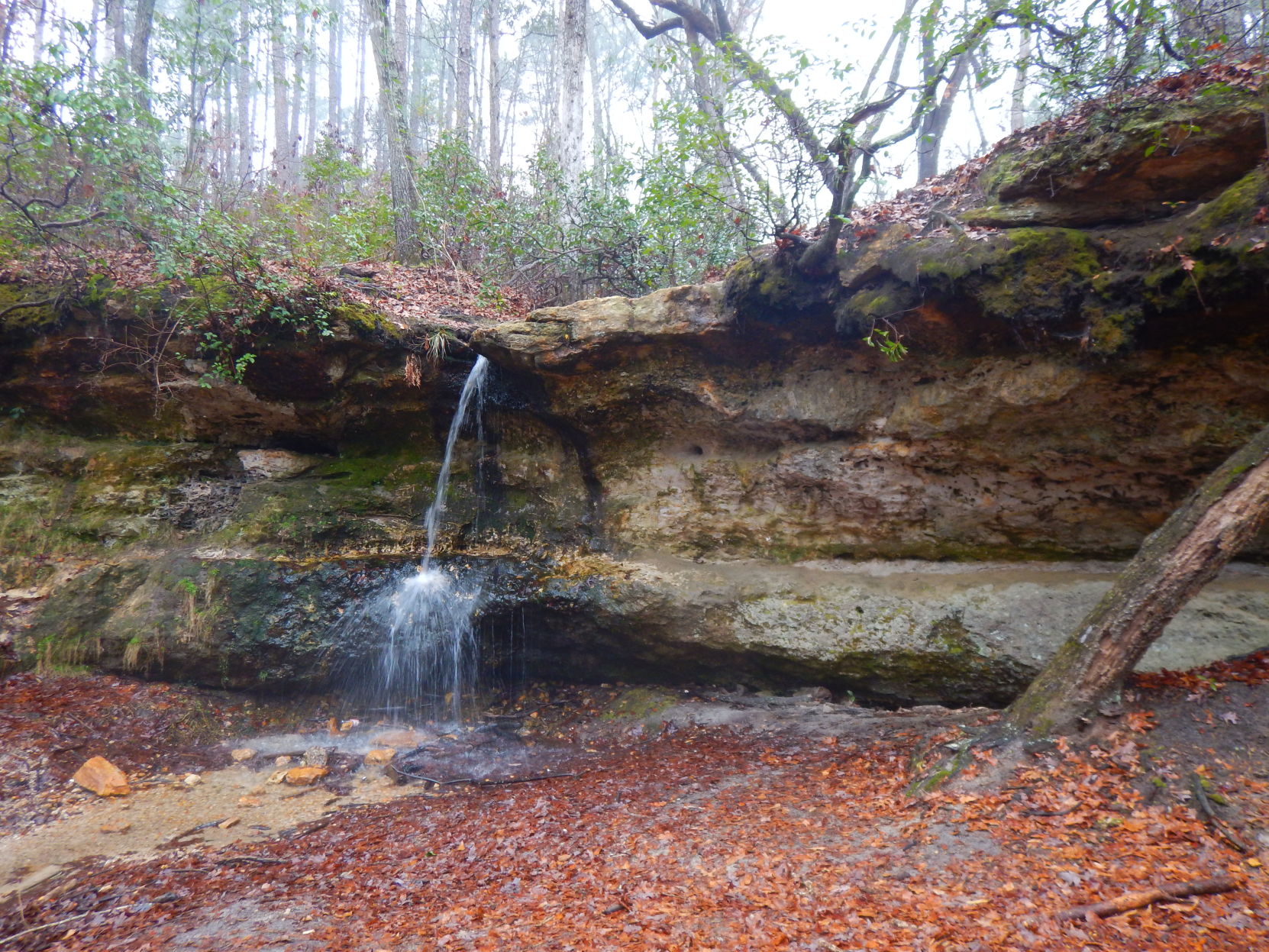 Peachtree Rock